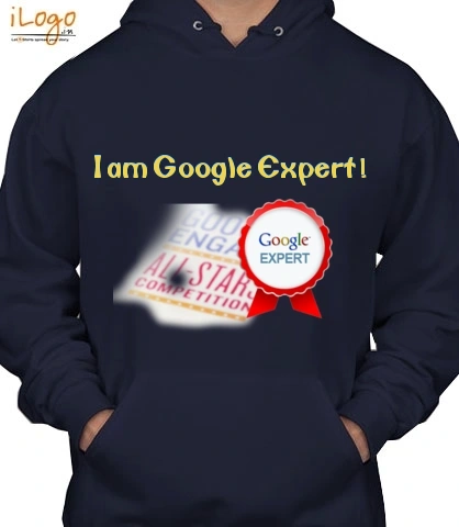 GoogleExperts - Hoody