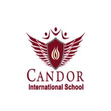 candor-international-school-class-of--reunion-hoodie