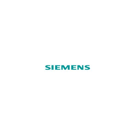 Siemens-Women%s-Raglan-Single-Tip-Polo-Shirt