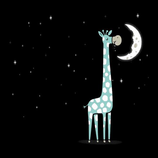 giraffe-moonxxl