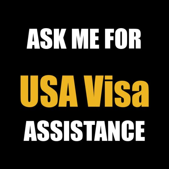 USA-Visa-Tshirt