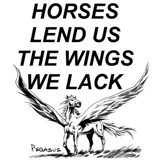 Winged-Horsefin