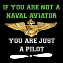 Navy-pilot