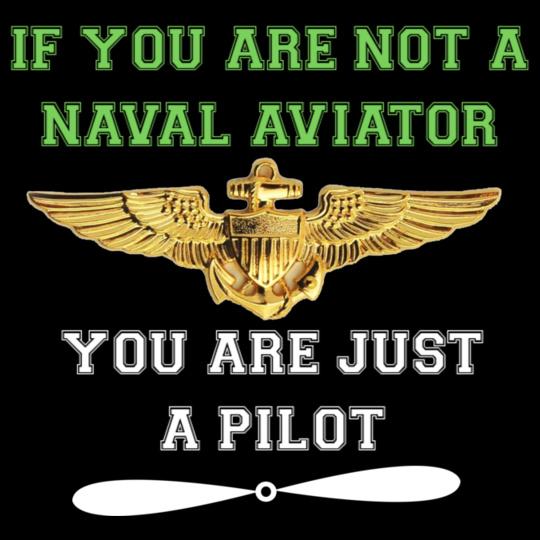 Navy-pilot