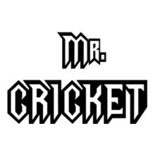 Mr-cricket