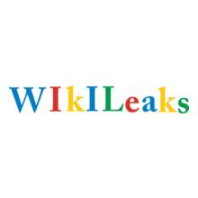 wikileaks-google