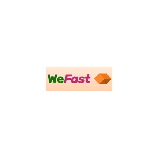 We-fast-logo-