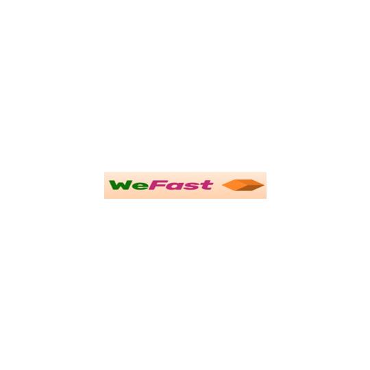 We-fast-logo-