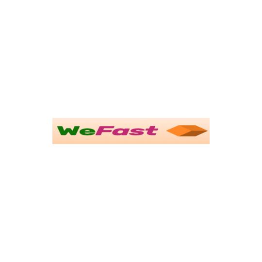 We-fast-logo-.