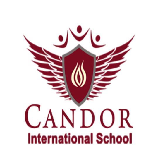 CANDOR INTERNATIONAL SCHOOL CLASS OF  REUNION TSHIRT