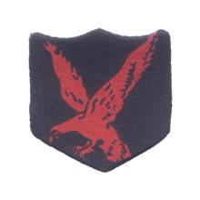 INFANTARY-DIVISION-RED-EAGLE-HOODIE