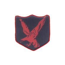 INFANTARY-DIVISION-RED-EAGLE-POLO