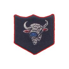 INFANTRY-DIVISION-BISON-POLO