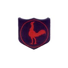 INFANTRY-DIVISION-FIGHTING-COCK-POLO