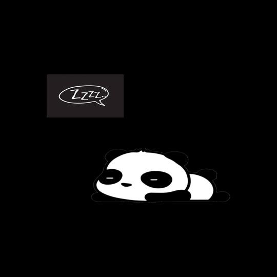 Panda-Hoodie-