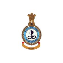 INDIAN-AIR-FORCE-NO--SQUADRON-Polo