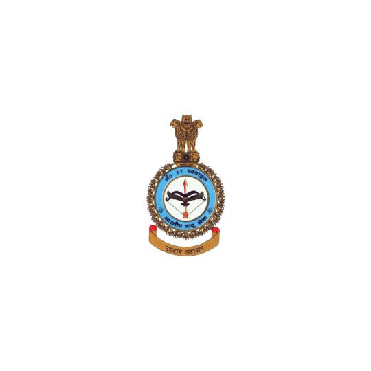 INDIAN-AIR-FORCE-NO--SQUADRON-Hoodies