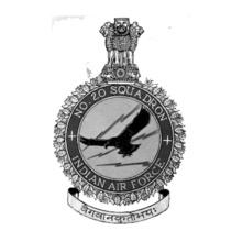 Indian-airforce-no--polo-tshirt