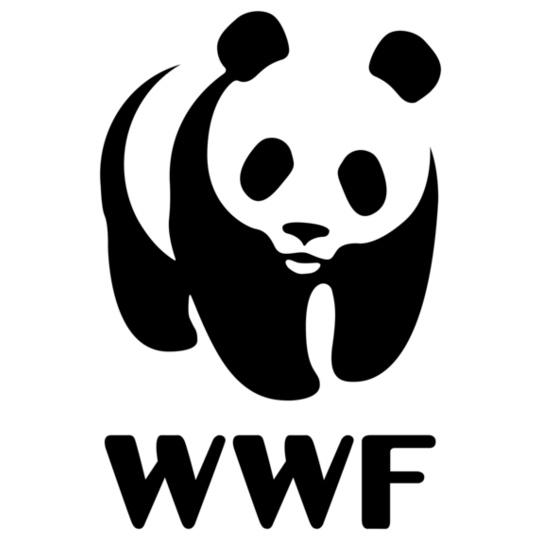 WWF-WOMEN%S-V-NECK-T-SHIRTS