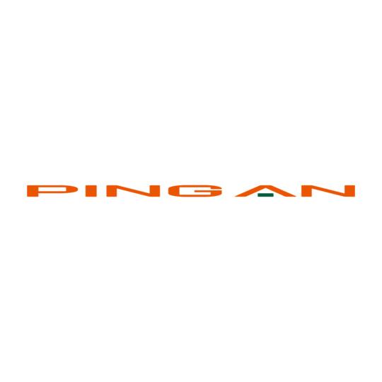 PINGAN-Women%s-Roundneck-T-Shirt