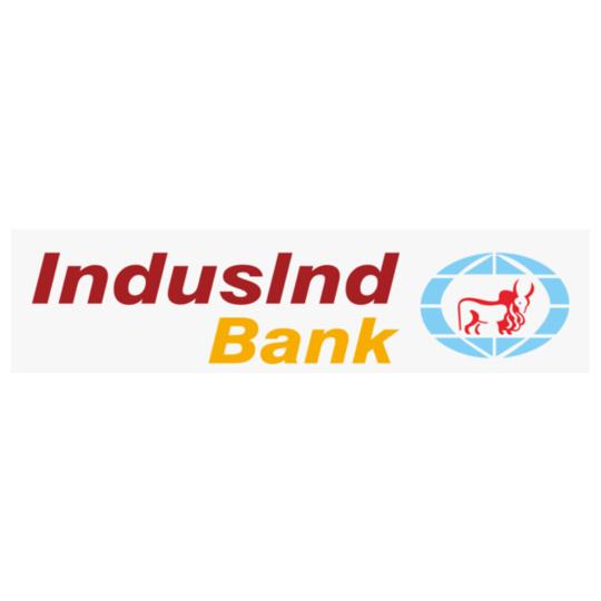 INDSIND-BANK-Women%s-Round-Neck-Raglan-Half-Sleeves