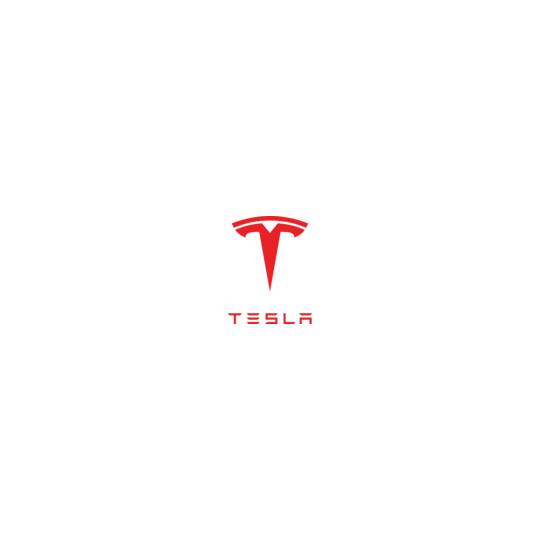Tesla-Raglan-Cut-%-Sew-Polo-Shirt