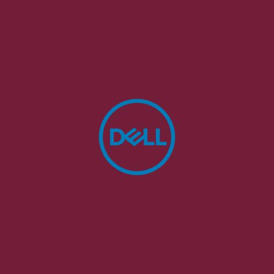 Dell-India