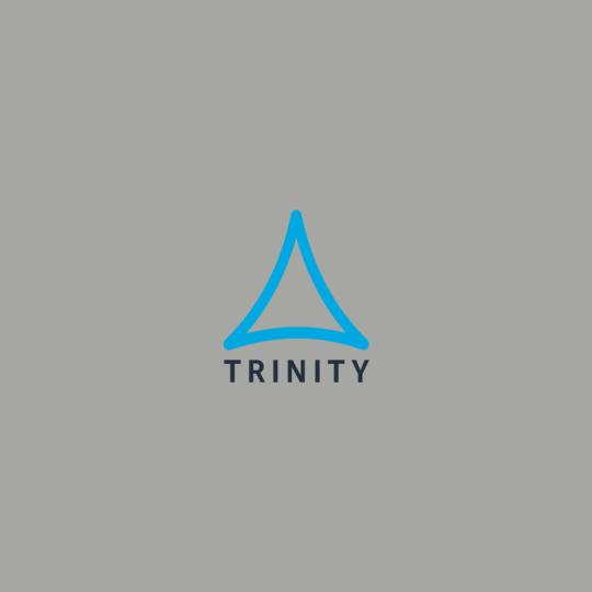 Trinity-hoodies