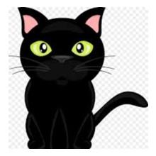 black-cute-cat