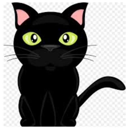 black-cute-cat