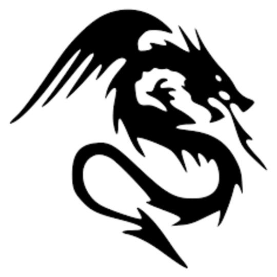 black-dragon-shadow