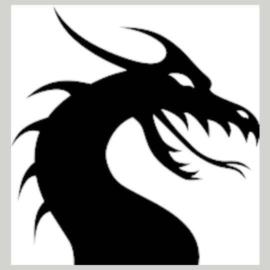 black-dragon-shadow