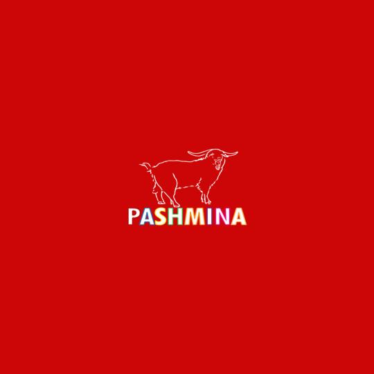 pashmina