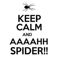 keep-calm-and-aaahh-spider