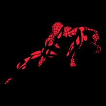 Spider-man-RobDuenas