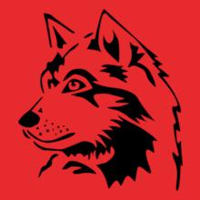 wolf-wolves-pack-hunter-predator-howling-wild-wilderness-dog-husky-malamut