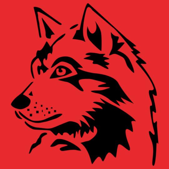 wolf-wolves-pack-hunter-predator-howling-wild-wilderness-dog-husky-malamut