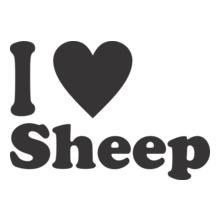 black-sheep-i-love-sheep