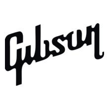 Guitar-GULSON