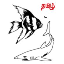 TAMIL-FISH