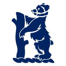 Warwickshire-County-Cricket-Club
