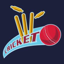 Cricket-sports-ball-wicket