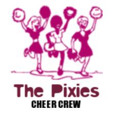 The-Pixies