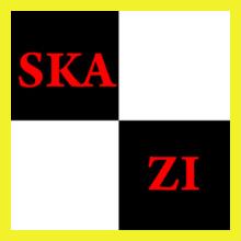 skazi-yellow-design