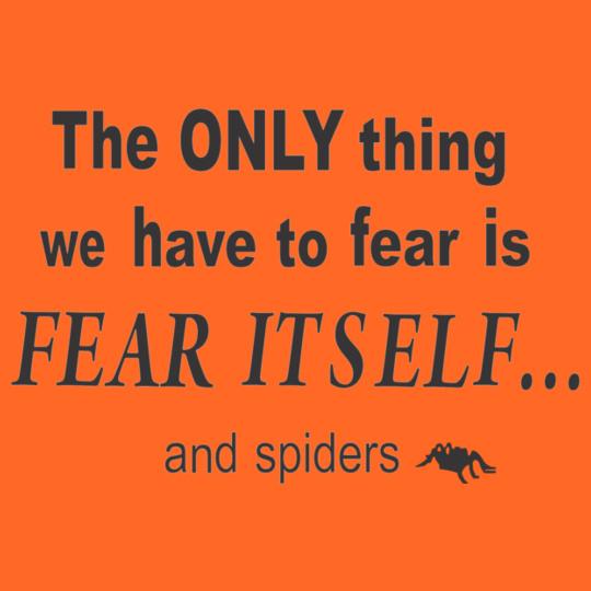the-only-thing-you-have-to-fear-is-fear-itself