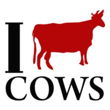 i-cows