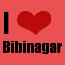 Bibinagar