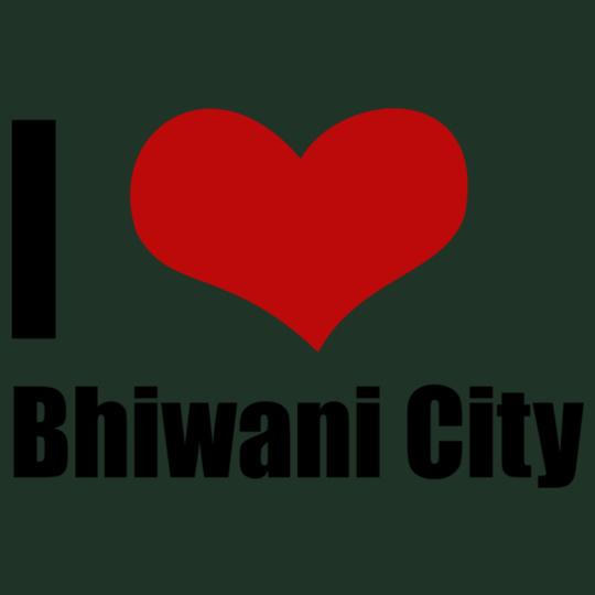 Bhiwani-City