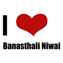Banasthali-Niwai