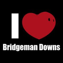 Bridgeman-Downs